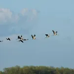 Ferienzimmer Günther Objekt 28985