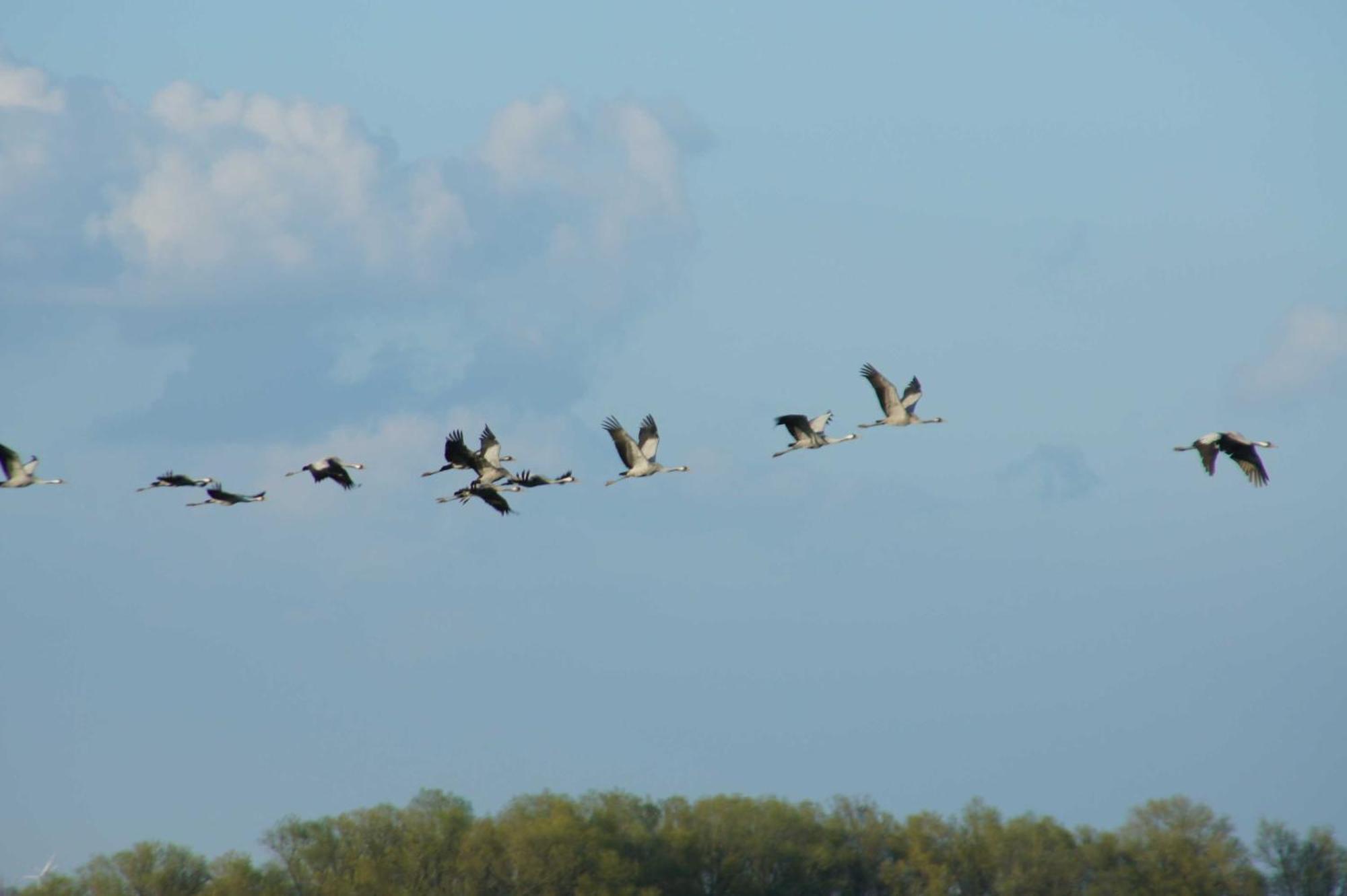Ferienzimmer Günther Objekt 28985 Villa